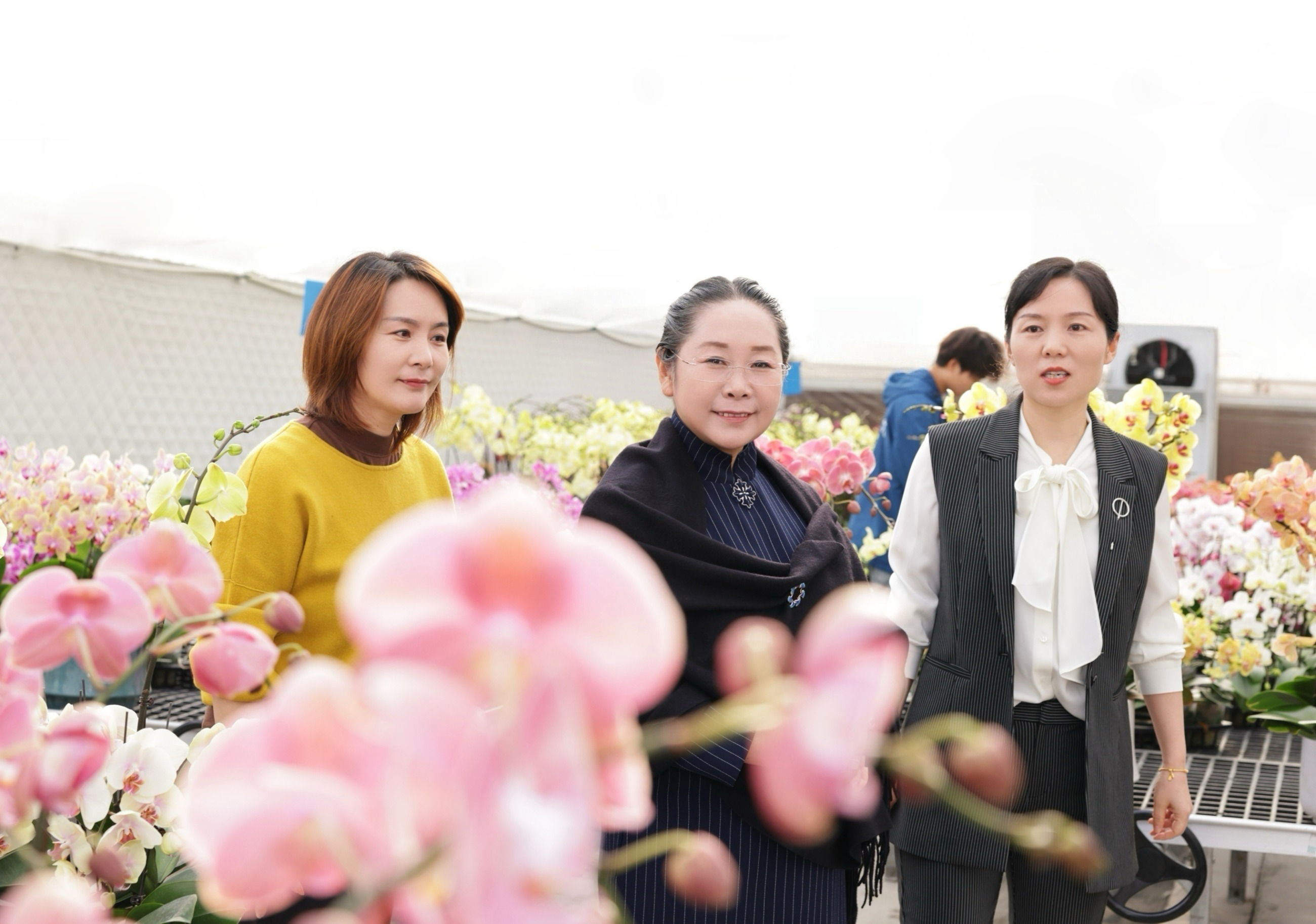 圖片關(guān)鍵詞 圖片關(guān)鍵詞