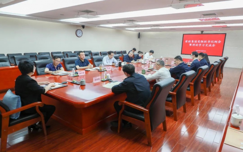 黨建引領(lǐng) 凝心聚力 榮程集團召開黨組織書記例會暨理論學(xué)習(xí)交流會
